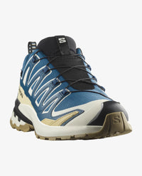 XA PRO 3D V9 GORE-TEX
