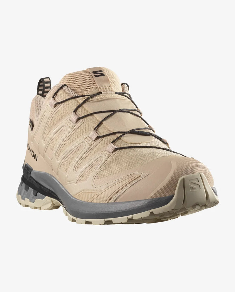 XA PRO 3D V9 GORE-TEX