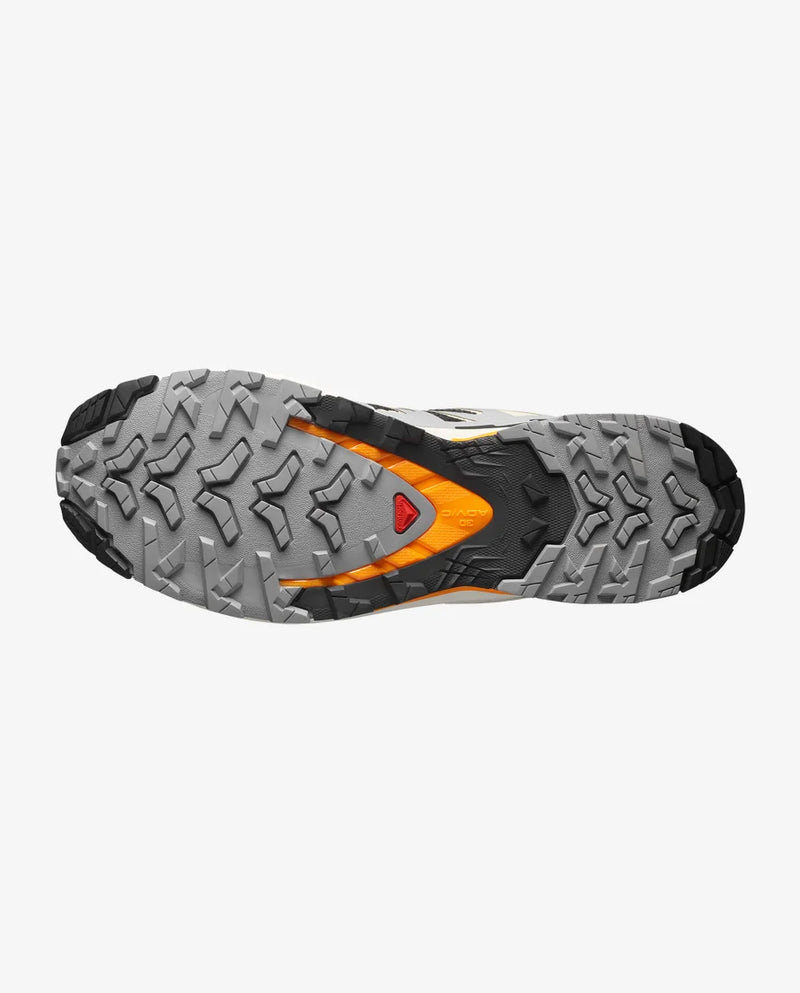 XA PRO 3D V9