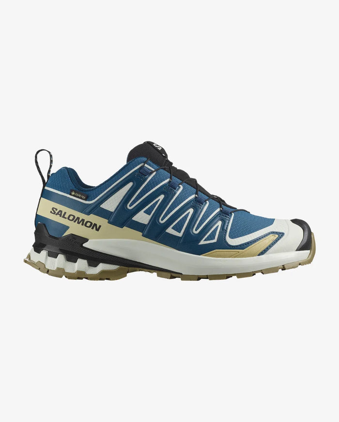 XA PRO 3D V9 GORE-TEX