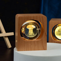 Beech Crystal Ball 3D Night Light | USB LED Engraved Lamp for Bedroom – DecoRight